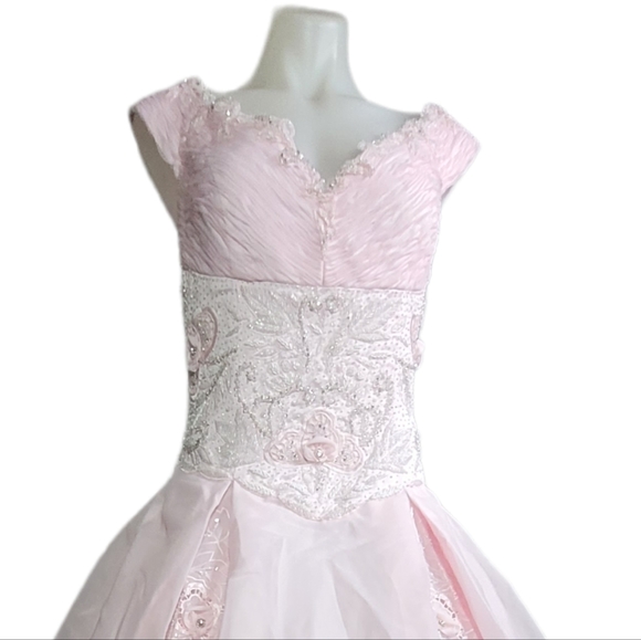 ☆ Boutiqe size 18 bridal maxi gown pink A line embroidered and sequence pink - Picture 3 of 12